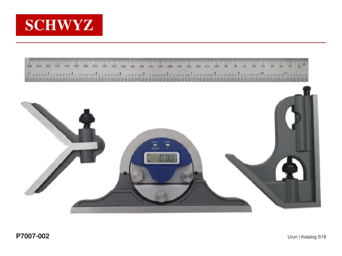 SCHWYZ P7007-002 ürün görseli