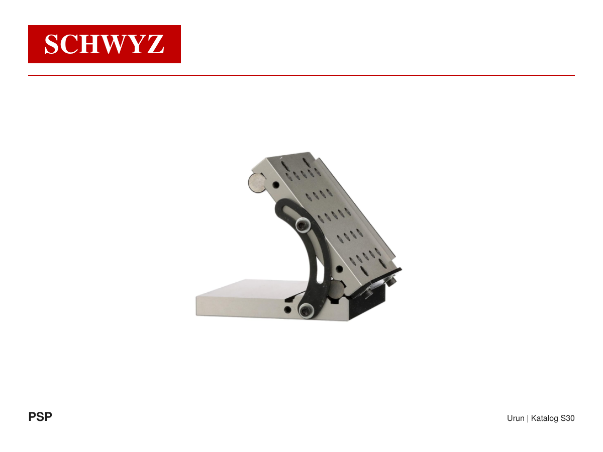 SCHWYZ PCS-166 Sinüs Plakaları ve Hassas Bağlama Elemanları