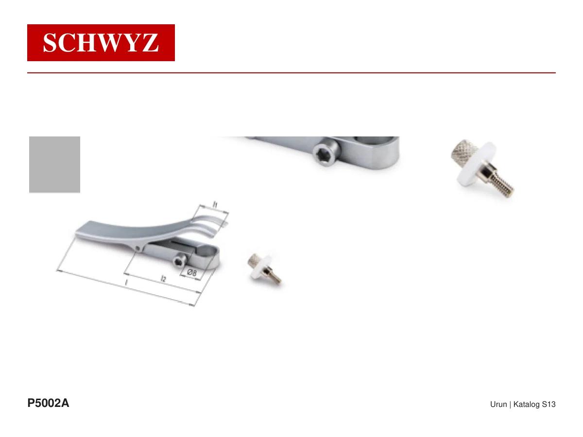 SCHWYZ P5002A ürün görseli