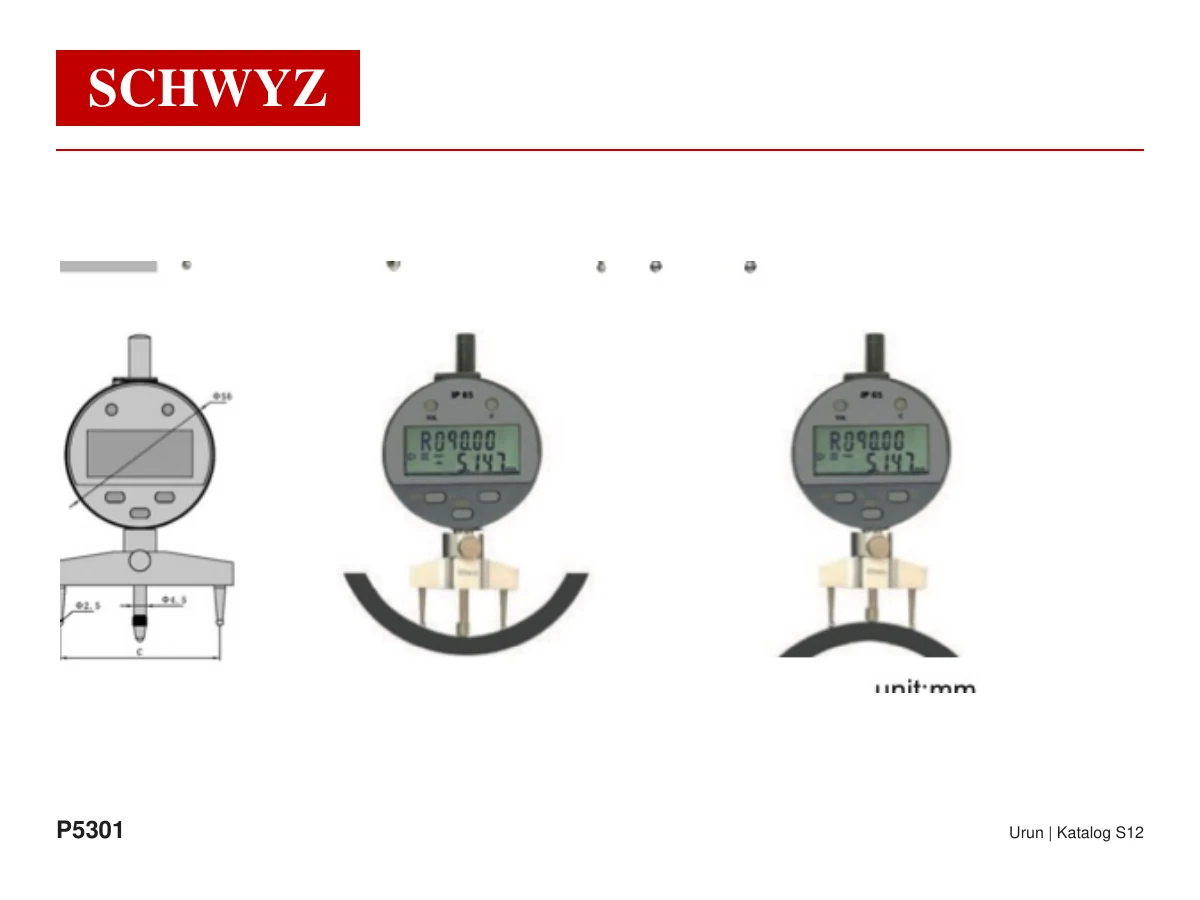 SCHWYZ P5301 ürün görseli