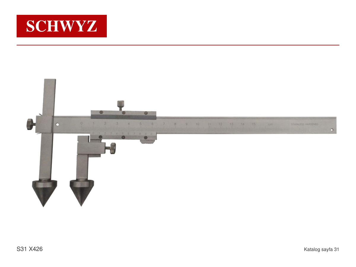 SCHWYZ katalog sayfası 31 ürün görseli