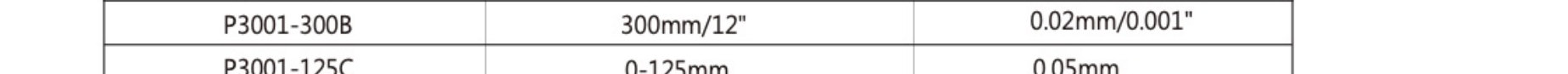 SCHWYZ P3001-300B katalog teknik satırı