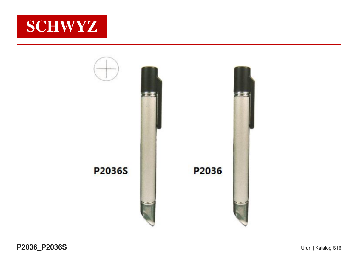 SCHWYZ P2036-20