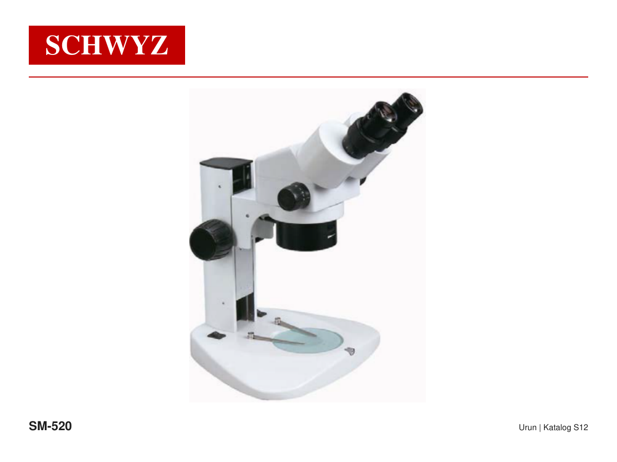 SCHWYZ SM-520