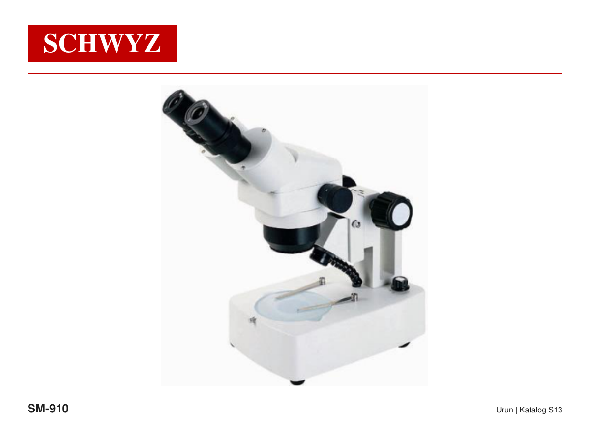 SCHWYZ SM-910 Urun 01 S13