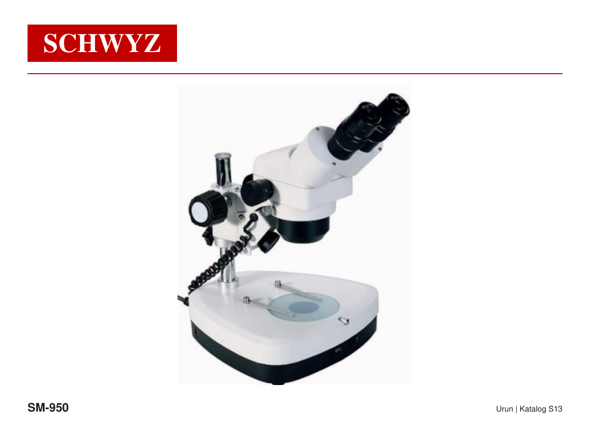 SCHWYZ SM-950 Urun 01 S13