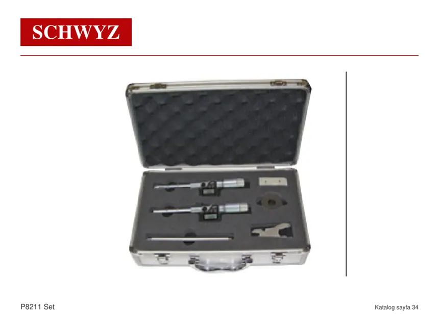 SCHWYZ P8211-SET katalog aile fotoğrafı